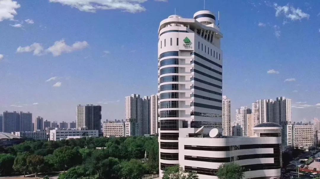 绿叶对根的情意 上海教育电视台纪念开播25周年